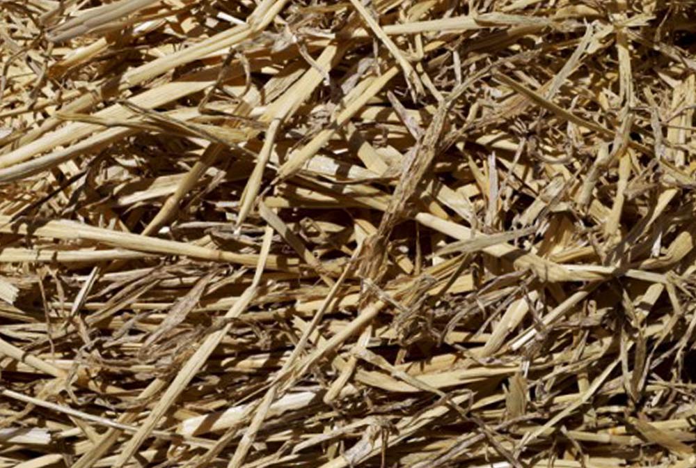 Bedding Straw - Hunter Premium Produce - Stock Feed