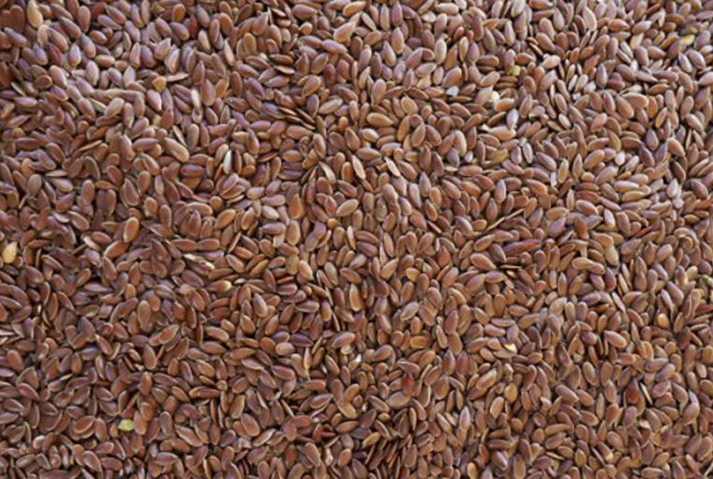 Linseed - Hunter Premium Produce Stock Feed