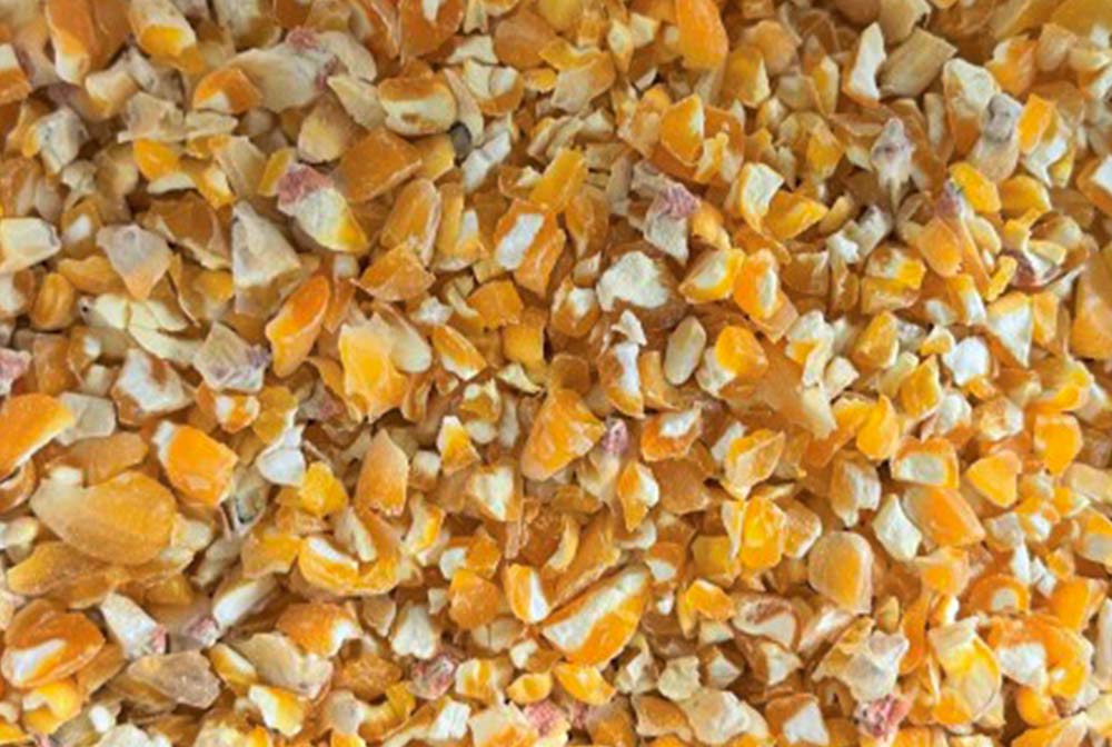 Hunter Premium Stockfeeds - Maize