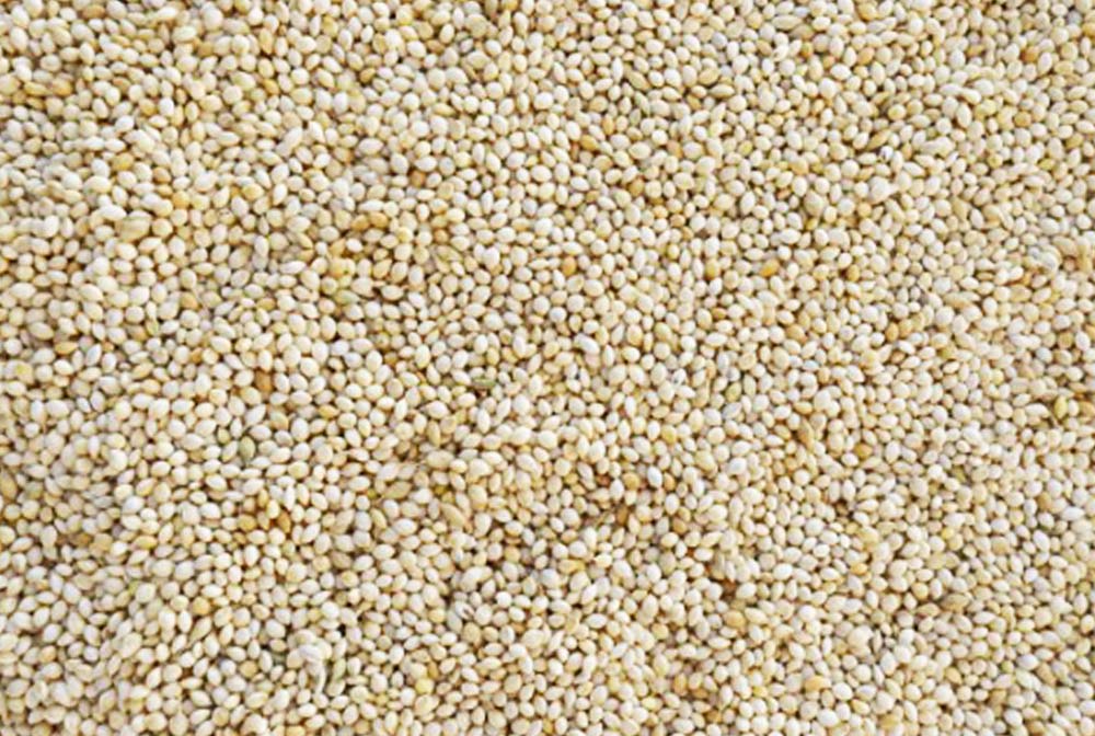 White French Millet - Hunter Premium Produce Stock Feed