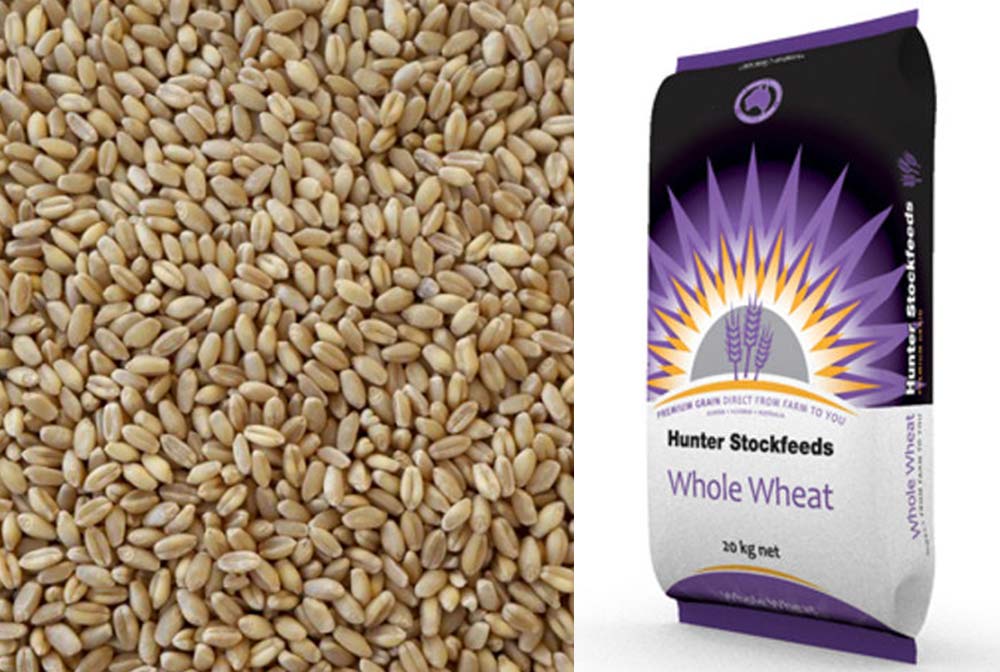Whole Wheat - Hunter Premium Produce